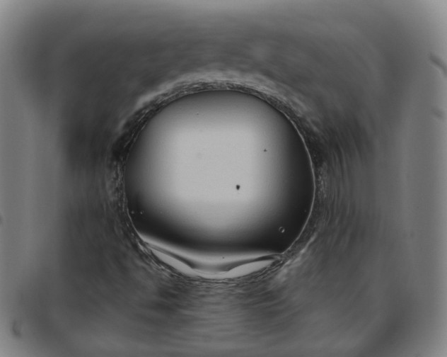 X0000097471494200803071642