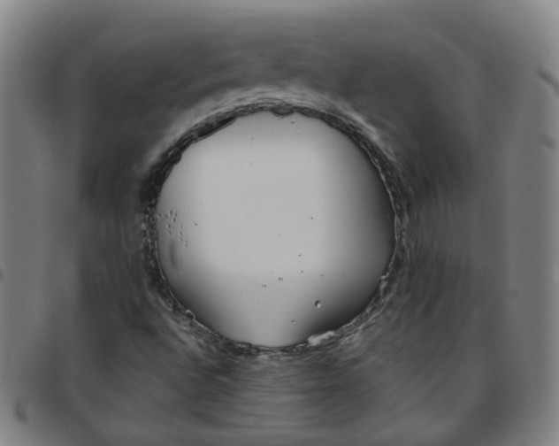 X0000097471496200803071642