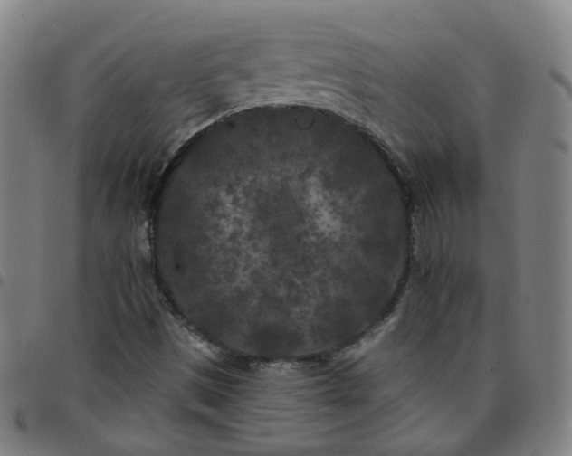 X0000097471497200803071642