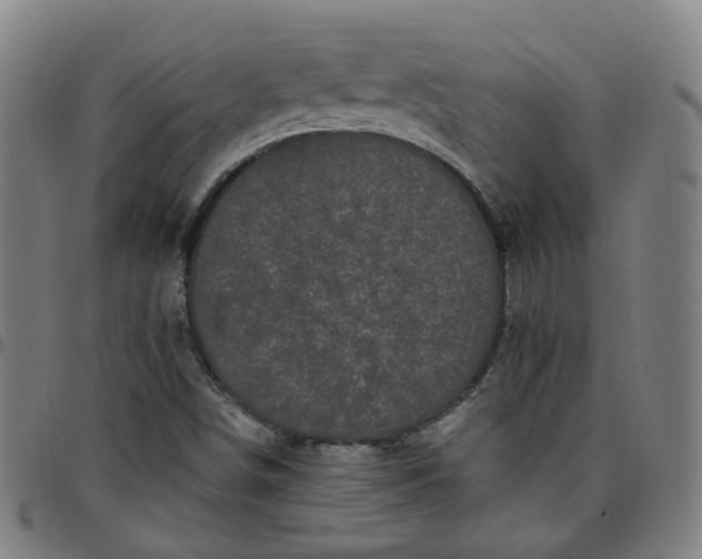 X0000097471498200803071642