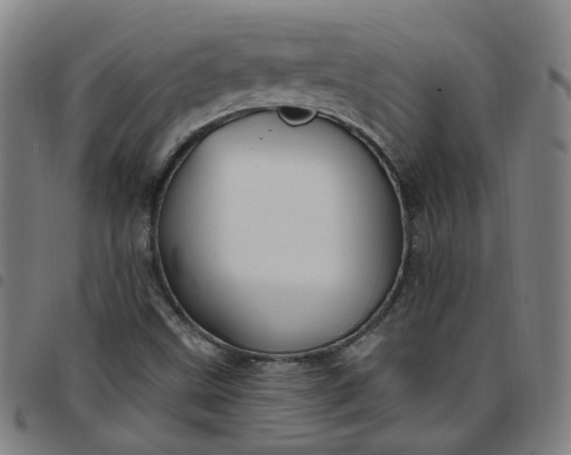 X0000097471499200803071642