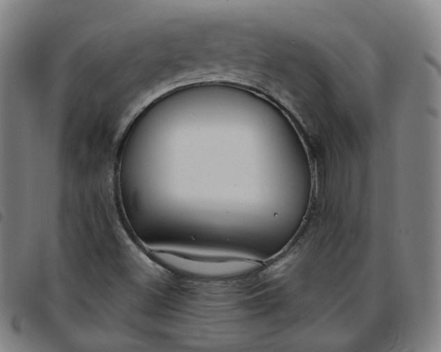 X0000097471500200803071642