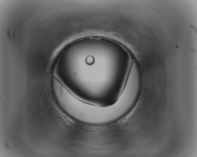 X0000097471502200803071642