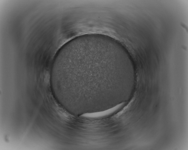 X0000097471505200803071642
