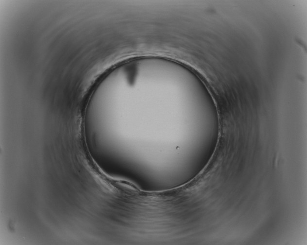 X0000097471507200803071642