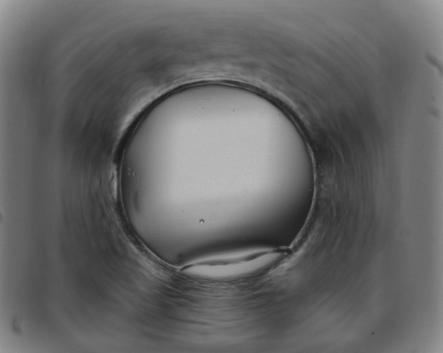 X0000097471509200803071642