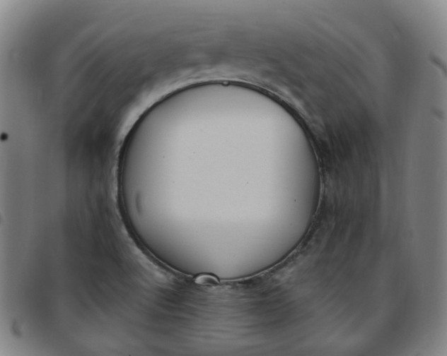 X0000097471512200803071642