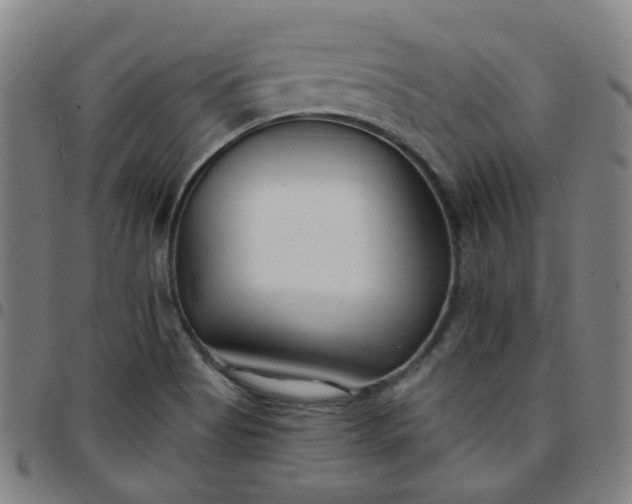 X0000097471513200803071642