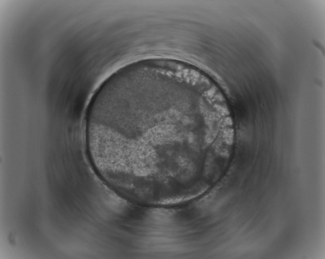 X0000097471514200803071642