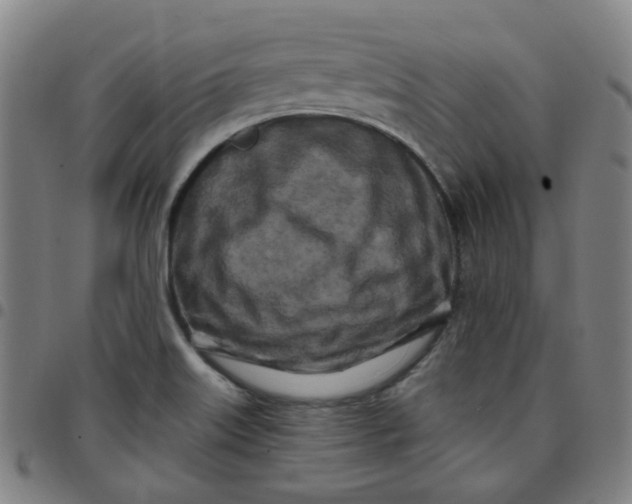 X0000097471515200803071642