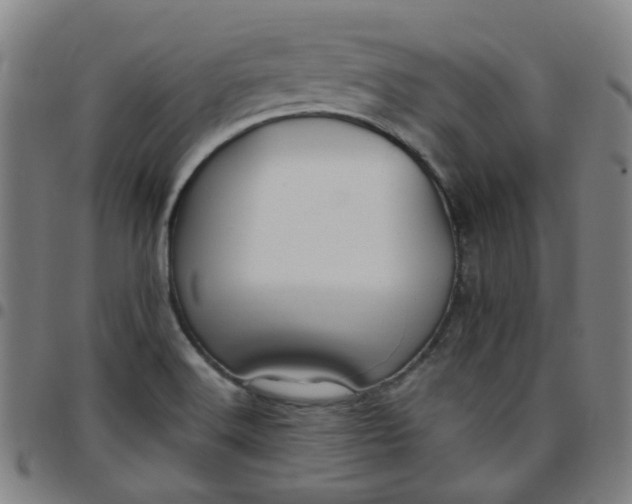 X0000097471516200803071642