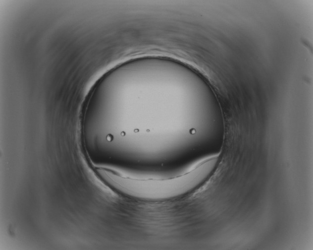 X0000097471518200803071642