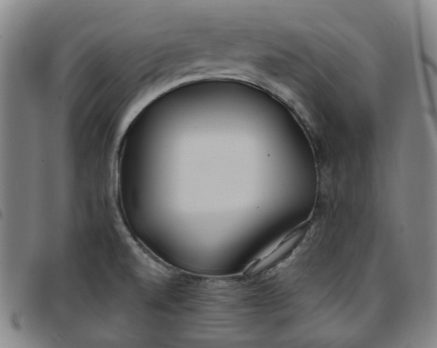 X0000097471520200803071642