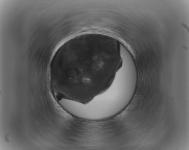 X0000097471522200803071642