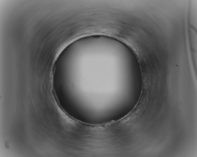 X0000097471524200803071642