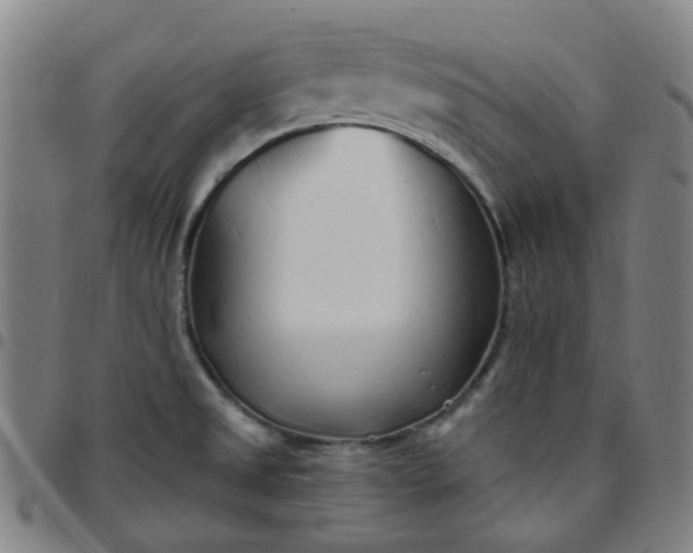 X0000097471525200803071642