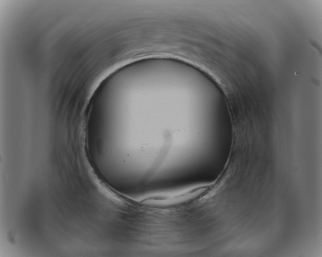 X0000097471526200803071642