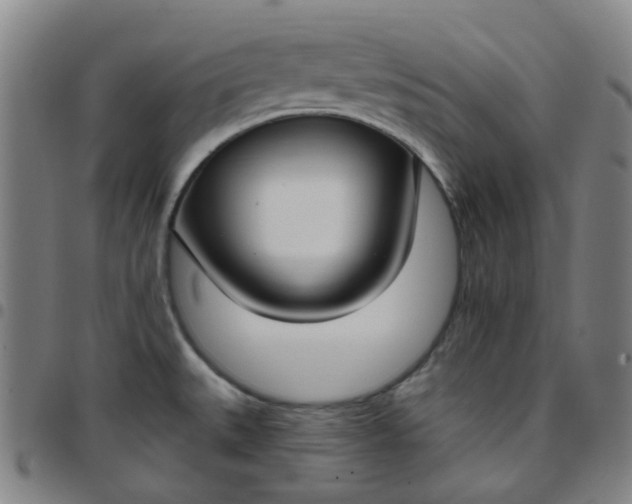 X0000097471527200803071642