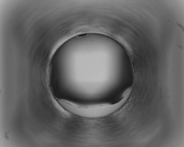 X0000097471528200803071642