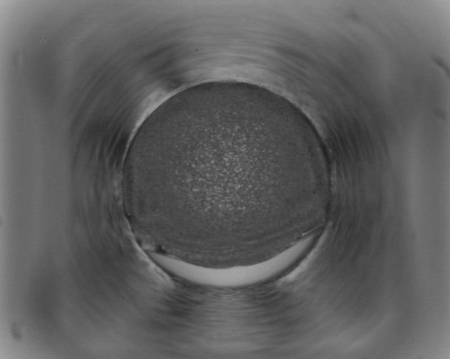 X0000097471529200803071642