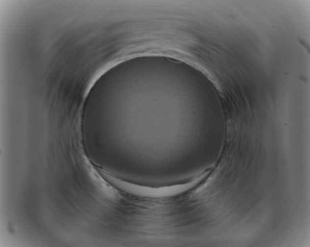 X0000097471530200803071642