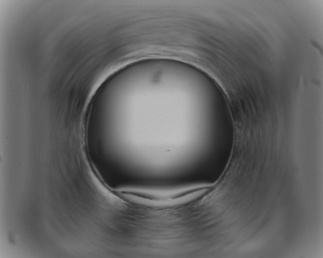X0000097471531200803071642