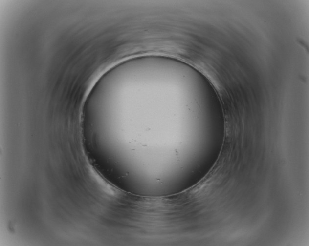 X0000097471532200803071642