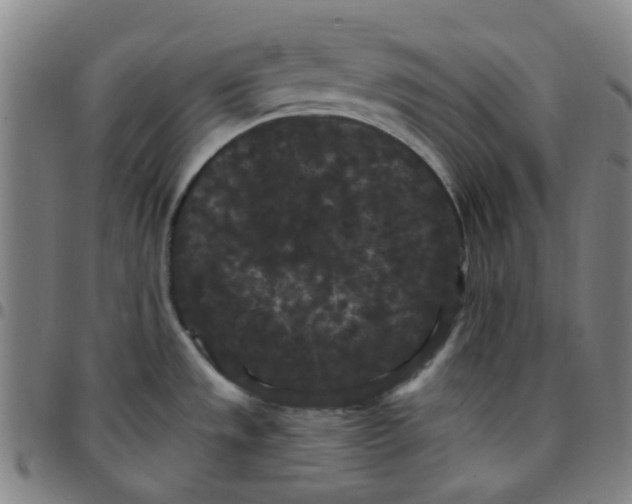 X0000097471533200803071642