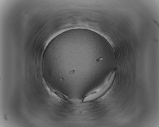 X0000097471534200803071642