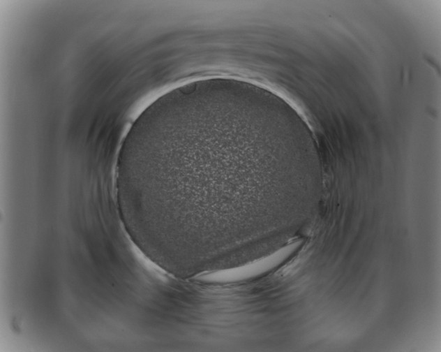 X0000097471535200803071642