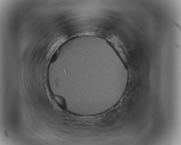 X0000097470001200803141923