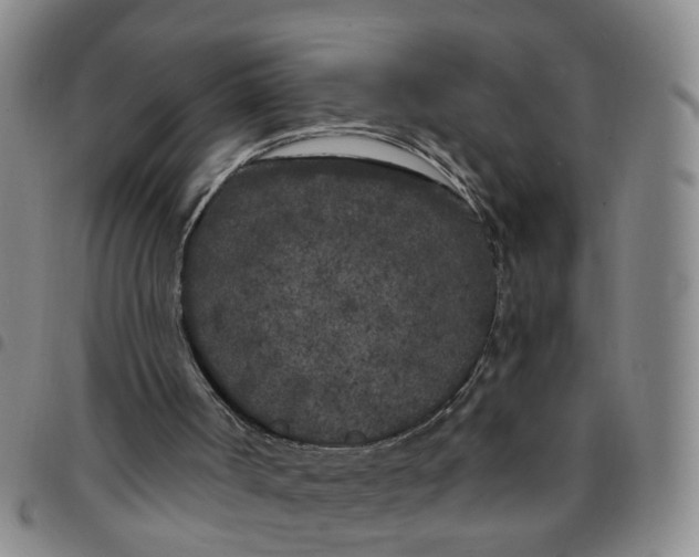 X0000097470002200803141923