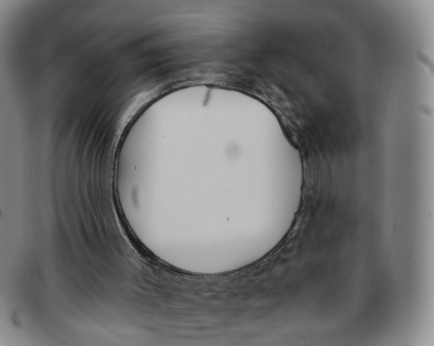 X0000097470003200803141923