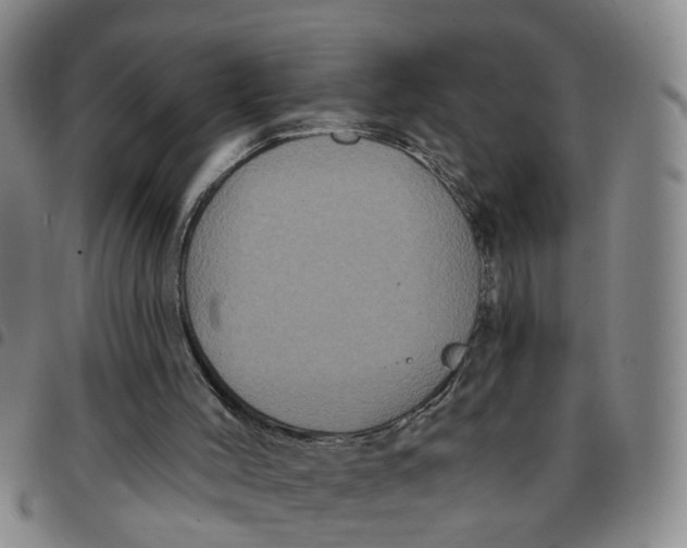 X0000097470004200803141923