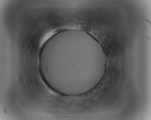 X0000097470005200803141923