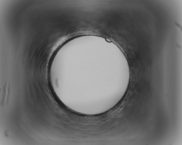 X0000097470008200803141923