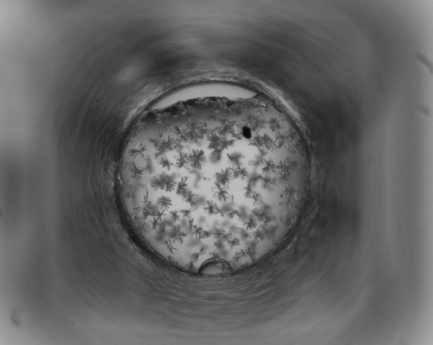 X0000097470010200803141923