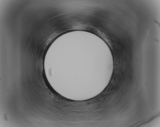 X0000097470011200803141923