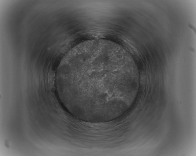 X0000097470030200803141922