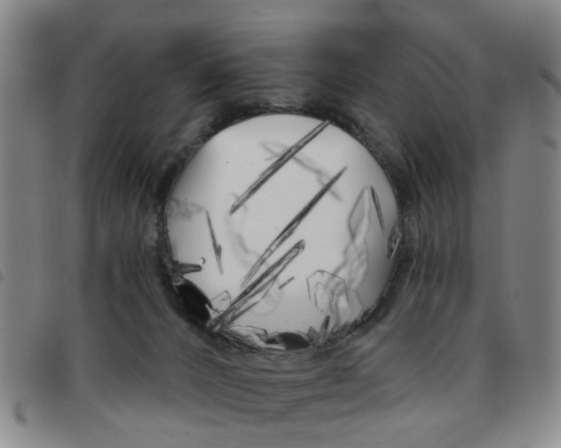 X0000097470032200803141922