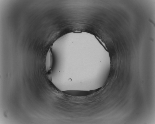 X0000097470041200803141922