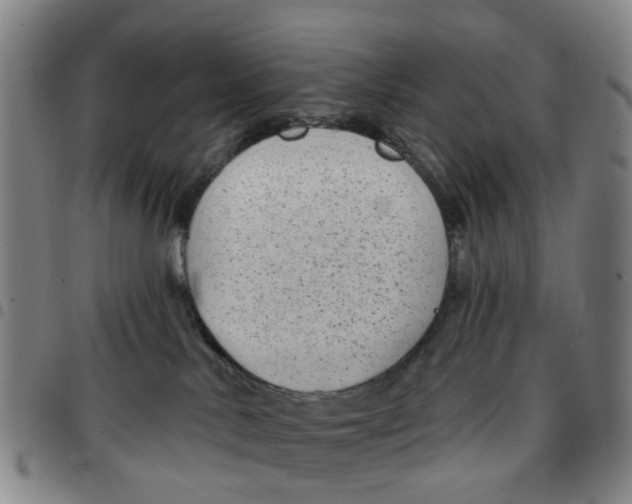 X0000097470042200803141922