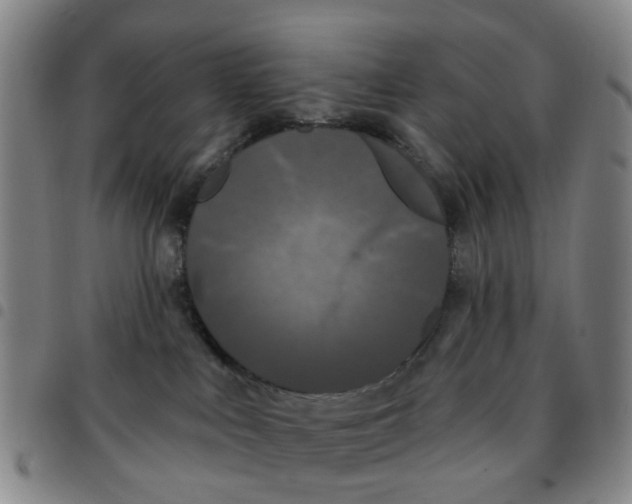 X0000097470043200803141922