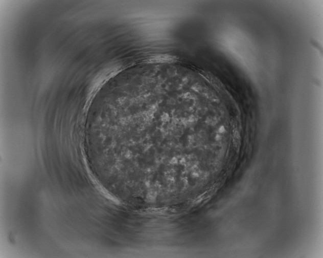 X0000097470049200803141921