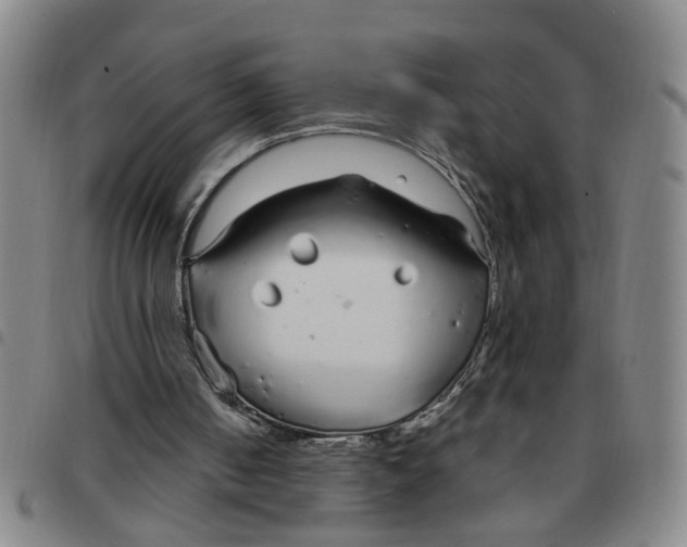 X0000097470050200803141921