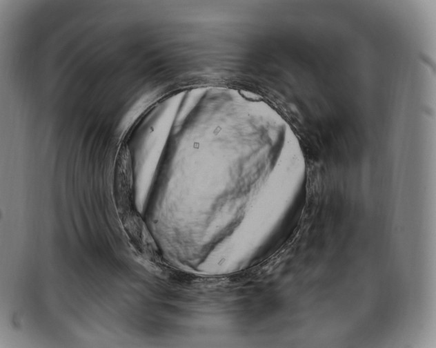 X0000097470051200803141921