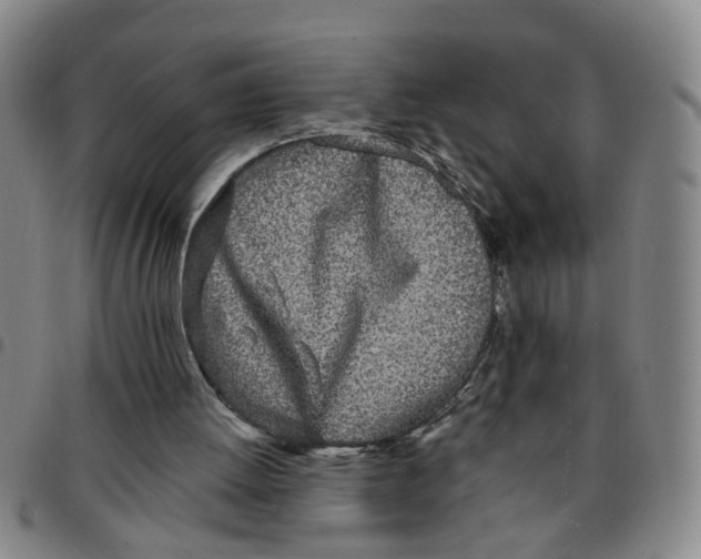 X0000097470052200803141921