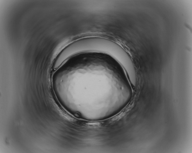 X0000097470053200803141921