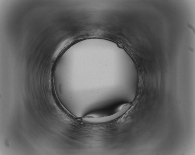 X0000097470054200803141921