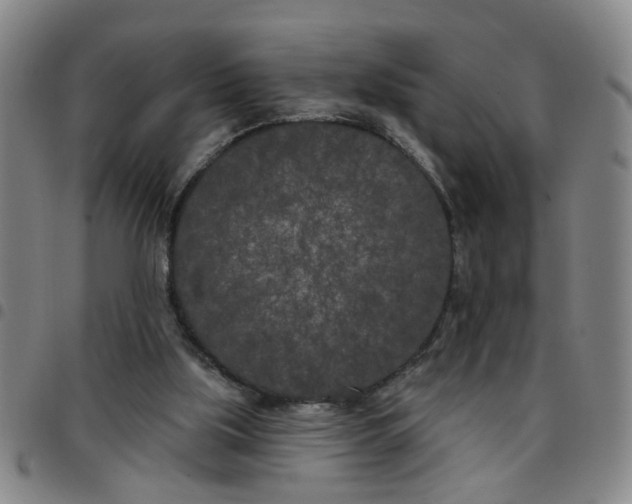 X0000097470059200803141922